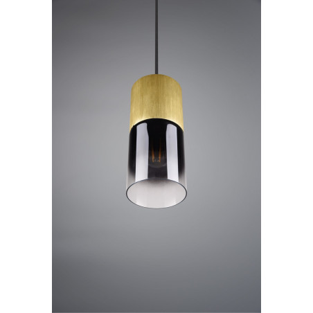 Lampa wisząca ROBIN 310600154 Trio