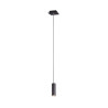 Lampa wisząca MARLEY 312400132 Trio