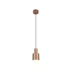 Lampa wisząca AGUDO 319400165 Trio