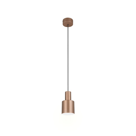 Lampa wisząca AGUDO 319400165 Trio