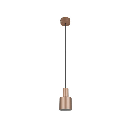 Lampa wisząca AGUDO 319400165 Trio