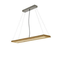 Lampa wisząca BRAD 323710130 Trio