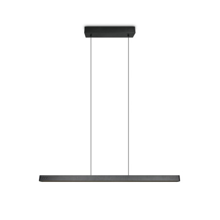 Lampa wisząca DONEGAL 333310232 Trio