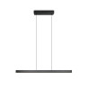 Lampa wisząca DONEGAL 333310232 Trio