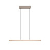 Lampa wisząca DONEGAL 333310243 Trio