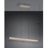 Lampa wisząca DONEGAL 333310243 Trio