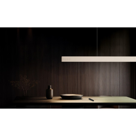 Lampa wisząca DONEGAL 333310243 Trio