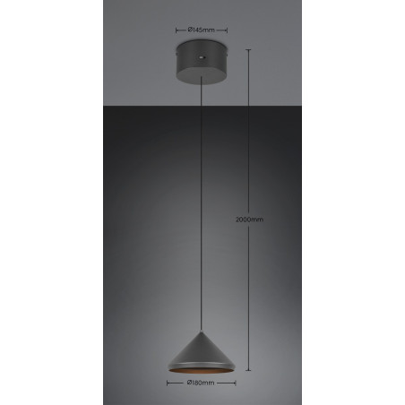 Lampa wisząca LAGUNA 336210132 Trio