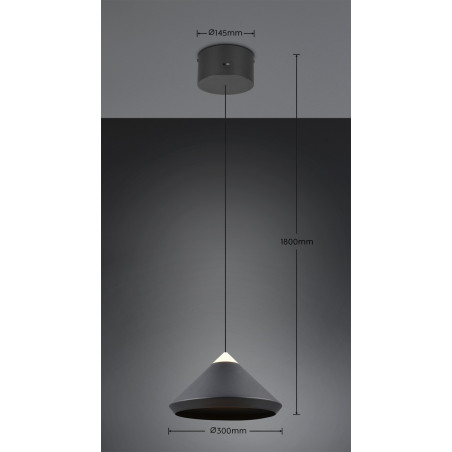 Lampa wisząca LAGUNA 336219132 Trio