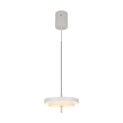 Lampa wisząca KEATON 340219176 Trio