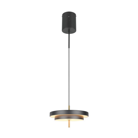 Lampa wisząca KEATON 340219180 Trio