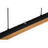 Lampa wisząca KERALA 341610132 Trio