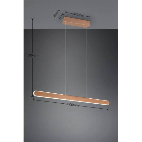 Lampa wisząca HELIOS 343310165 Trio