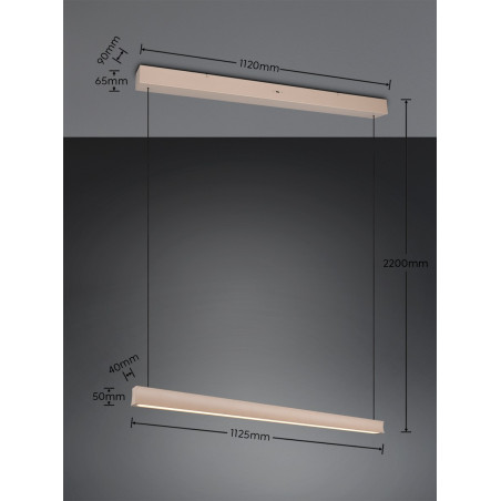 Lampa wisząca WALLACE 347910143 Trio