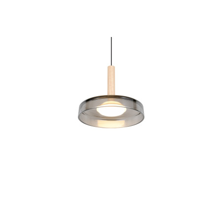 Lampa wisząca CELESTE 354910132 Trio