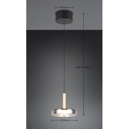 Lampa wisząca CELESTE 354910132 Trio