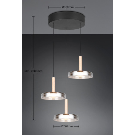 Lampa wisząca CELESTE 354930332 Trio