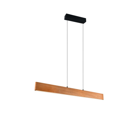 Lampa wisząca EDGEWOOD 359710130 Trio