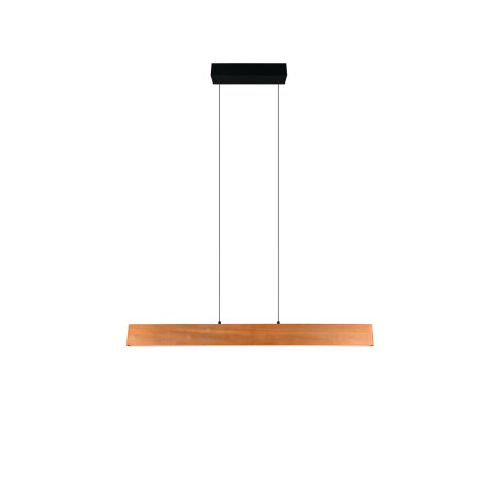 Lampa wisząca EDGEWOOD 359710130 Trio
