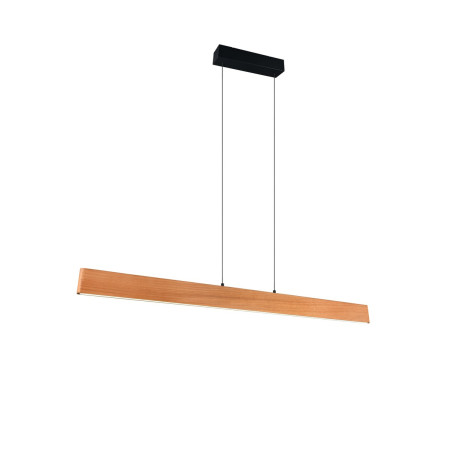 Lampa wisząca EDGEWOOD 359719130 Trio