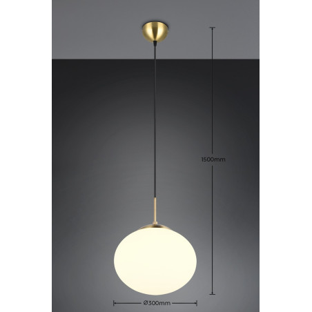 Lampa wisząca FOMENTO 363100108 Trio