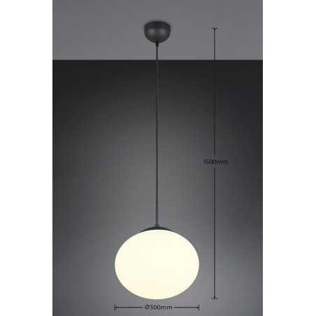 Lampa wisząca FOMENTO 363100132 Trio