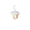 Lampa zewnętrzna wisząca VENTA 363260131 Trio