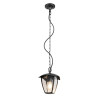 Lampa zewnętrzna wisząca VENTA 363260132 Trio
