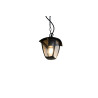 Lampa zewnętrzna wisząca VENTA 363260132 Trio