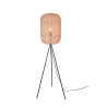 Lampa podłogowa RUNA 403000132 Trio
