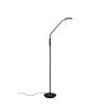 Lampa podłogowa MONZA 423310132 Trio