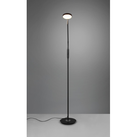 Lampa podłogowa MONZA 423310132 Trio