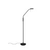 Lampa podłogowa MONZA 423310132 Trio
