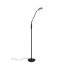 Lampa podłogowa MONZA 423310132 Trio