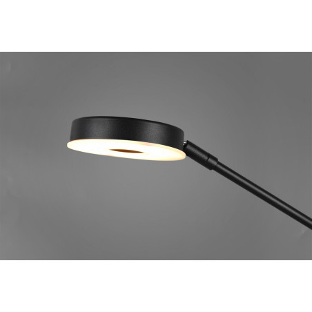 Lampa podłogowa BARRIE 424210332 Trio