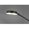 Lampa podłogowa BARRIE 424210332 Trio