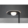 Lampa podłogowa BARRIE 424210332 Trio