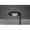 Lampa podłogowa BARRIE 424210332 Trio