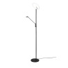 Lampa podłogowa BRANTFORD 425610232 Trio