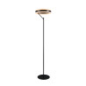 Lampa podłogowa DIOS 431410132 Trio