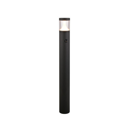 Lampa zewnętrzna stojąca TAGUS 438569142 Trio
