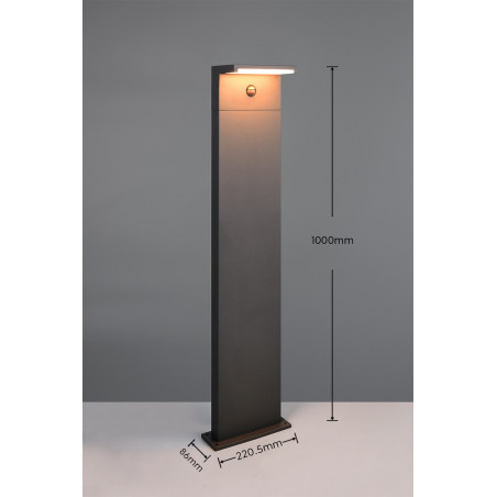 Lampa zewnętrzna stojąca RAVI 438669142 Trio