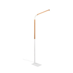 Lampa podłogowa NORRIS 445210131 Trio