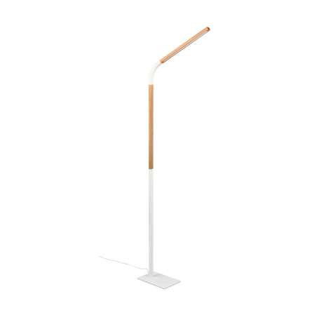 Lampa podłogowa NORRIS 445210131 Trio