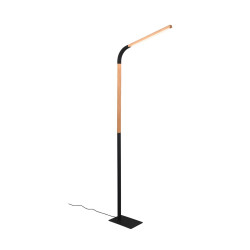 Lampa podłogowa NORRIS 445210132 Trio
