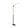 Lampa podłogowa NORRIS 445210132 Trio