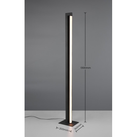 Lampa podłogowa SEEKER 448810132 Trio