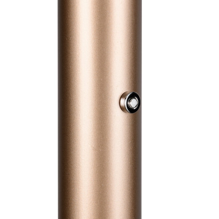 Lampa podłogowa CELESTE 454910165 Trio