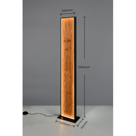 Lampa podłogowa KALEA 455510130 Trio