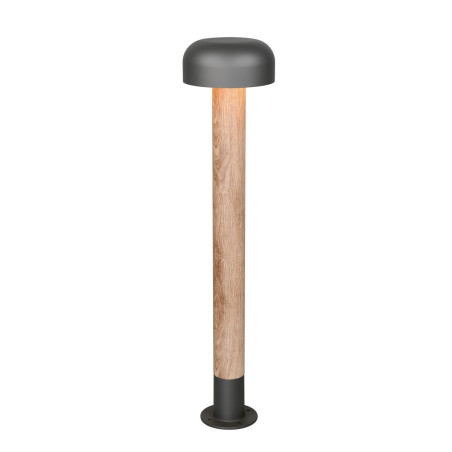 Lampa zewnętrzna stojąca FRASER 462560135 Trio